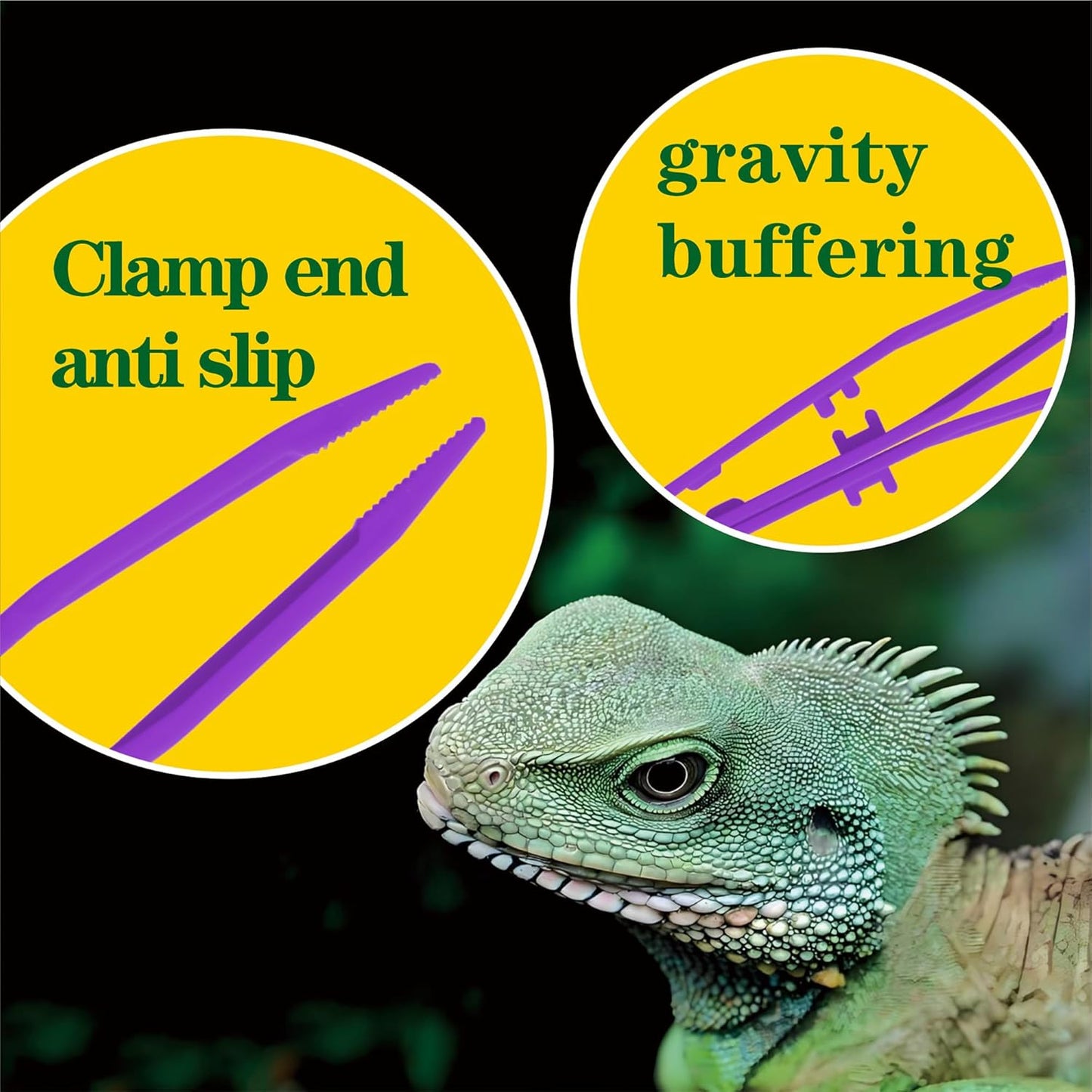 5-Pack Reptile Feeding Tongs Set - Hygienic Anti-Slip Purple Tweezers for Bearded Dragons, Lizards, Snakes, Aquariums & Small Animals(Five Colors to Choose from)