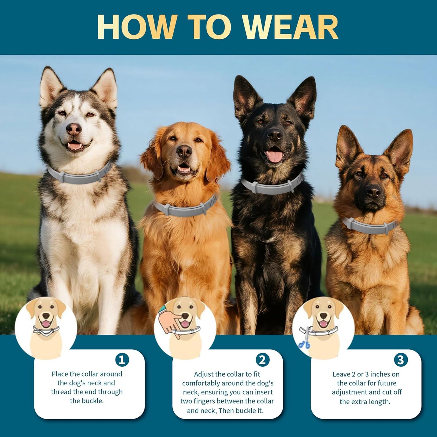 Flea Collars for Dogs, Dog Flea & Tick Control Flea Collar 12 Months Protection, Waterproof Dog Flea Collar, Flea Prevention for Dogs with Comb and Prevention Treatment Drop, 2Pack