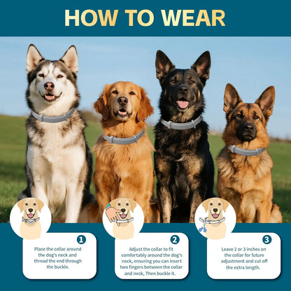 Flea Collars for Dogs, Dog Flea & Tick Control Flea Collar 12 Months Protection, Waterproof Dog Flea Collar, Flea Prevention for Dogs with Comb and Prevention Treatment Drop, 2Pack