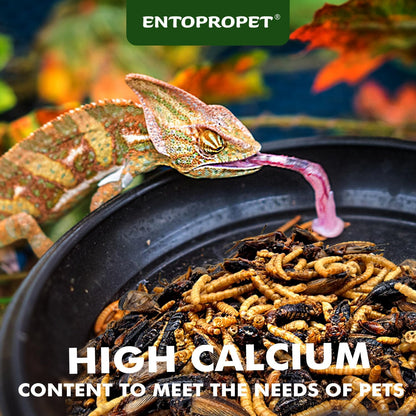 Dried Mealworms and Dried Crickets - Higher in Calcium and Richer in Protein-A Premium Medley Treat Food for Bearded Dragons,Turtles, Birds & Tropical Fish, 5oz