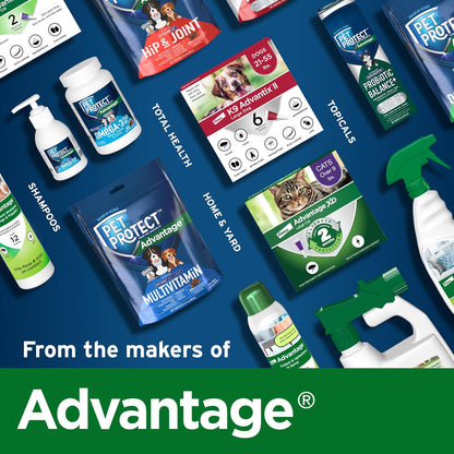 Pet Protect Dog Probiotic Balance+ Oral Gel, Vet-Formulated Endurosyn, Prebiotics & Probiotics for Dogs, 3-Day Supply, Chicken Flavor (32g)