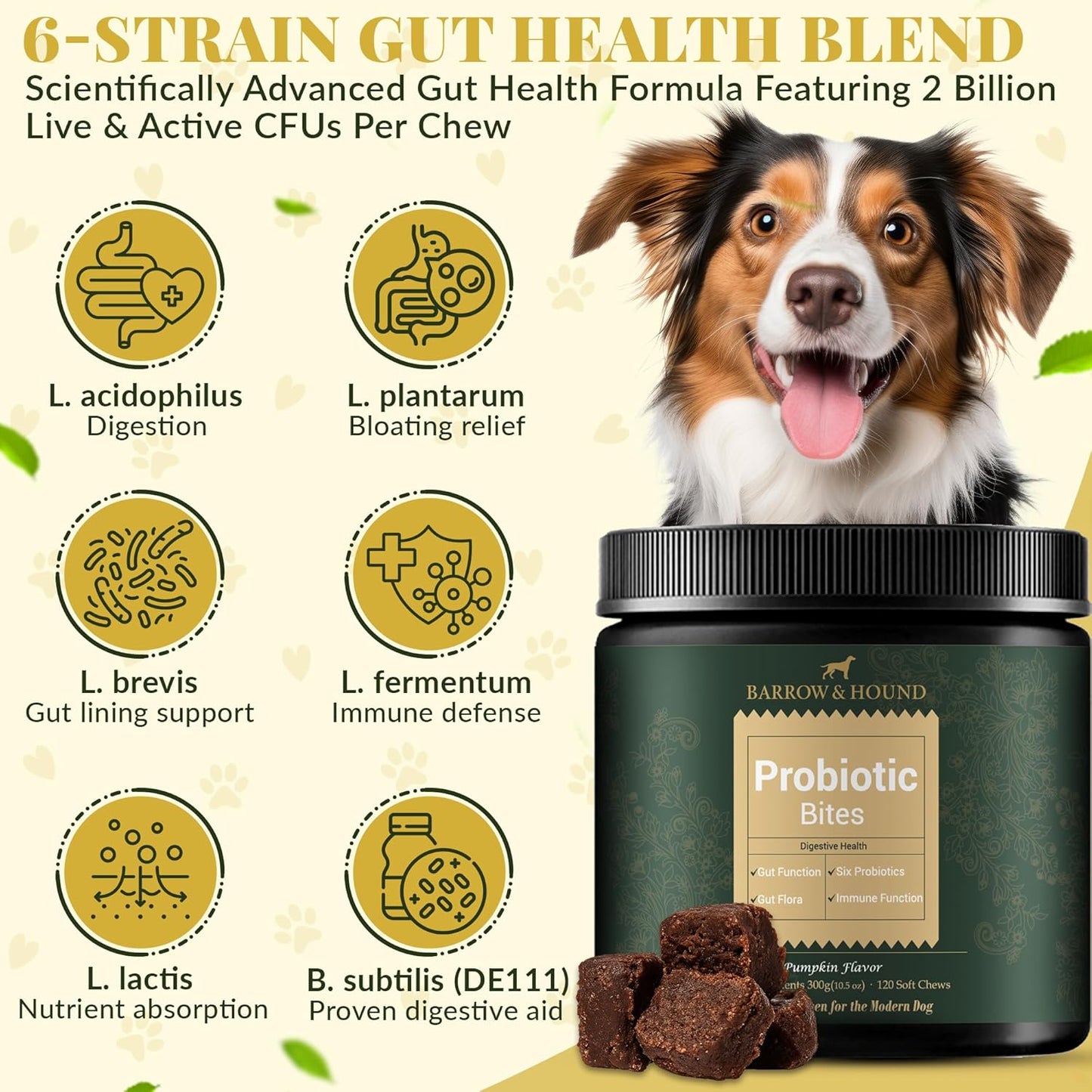 Barrow & Hound Probiotic Bites for Dogs – 6-Strain Probiotics & Pumpkin for Gut Health & Immune Support – 120 Soft Chews – Pumpkin Flavor