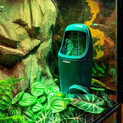 OIIBO Reptile Water Fountain Chameleon Water Dripper, Reptile Water Dispenser with 800ml Large Capacity, Terrarium Waterfall Drinking Fountain for Bearded Dragon Gecko Lizard