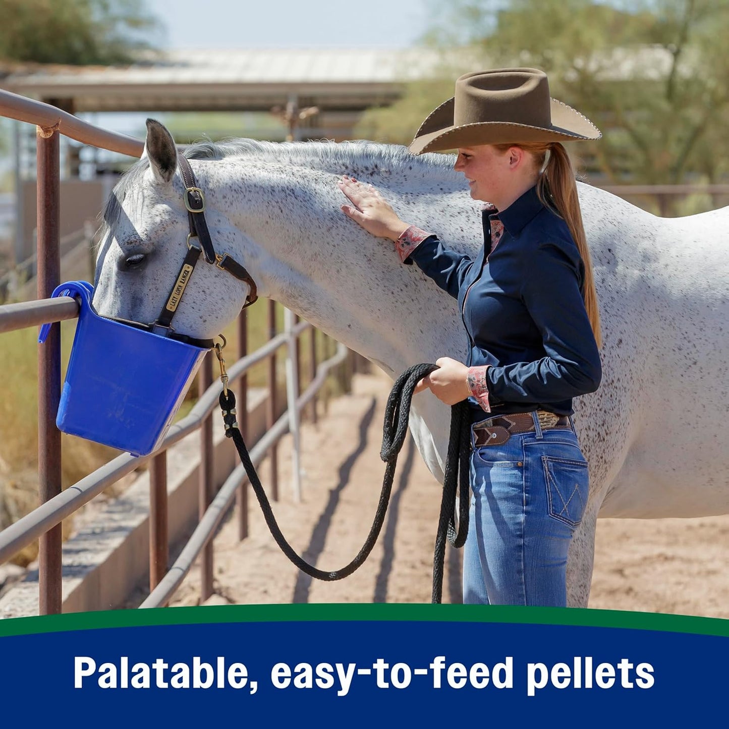 Farnam Horseshoer's Secret Pelleted Hoof Supplements, Promotes healthy hoof growth, maintains hoof walls & supports cracked hooves, 38 lbs., 100 day supply