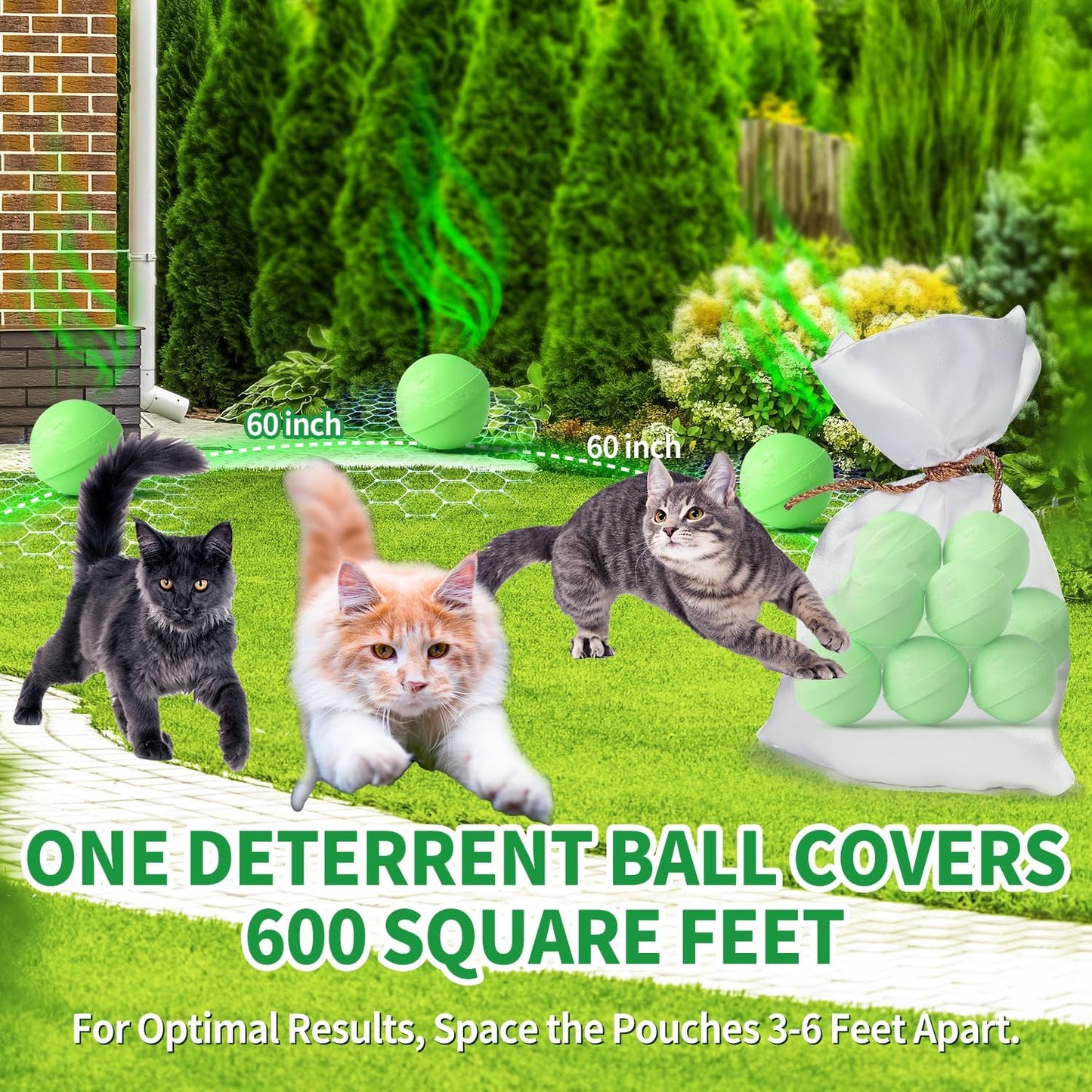 Ponal Cat Repellent Outdoor, Natural Peppermint Oil Cat Deterrent Outdoor Indoor, Keep Cats Off Lawn, Yard, Garden, Mulch & Flower Permanently Against Scratch and Chew, Keep Cats Away, 10 Pack