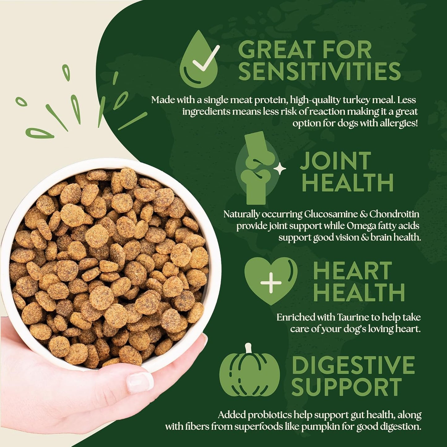 Earthborn Holistic Venture Turkey Meal & Pumpkin Limited Ingredient Diet Grain-Free Dry Food for Adult Dogs (4 lb. Bag)