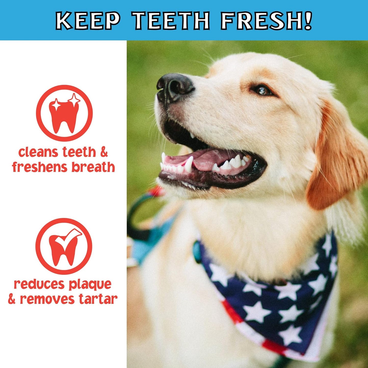 Pet Factory Twistedz American Beefhide 5" Chip Rolls Dog Chew Treats w/Real Beef Meat Wrap - 8 Count/4 Pack