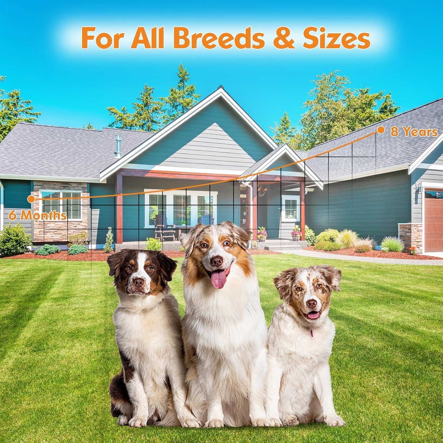 Anti Barking Device for Dogs Bark Box, Rechargeable Ultrasonic Barking Deterrent Devices with 3 Modes/Irregular Ultrasound Frequency/Automatically Electronic Dog Whistle Neighbors Dog Silencer(Gold)