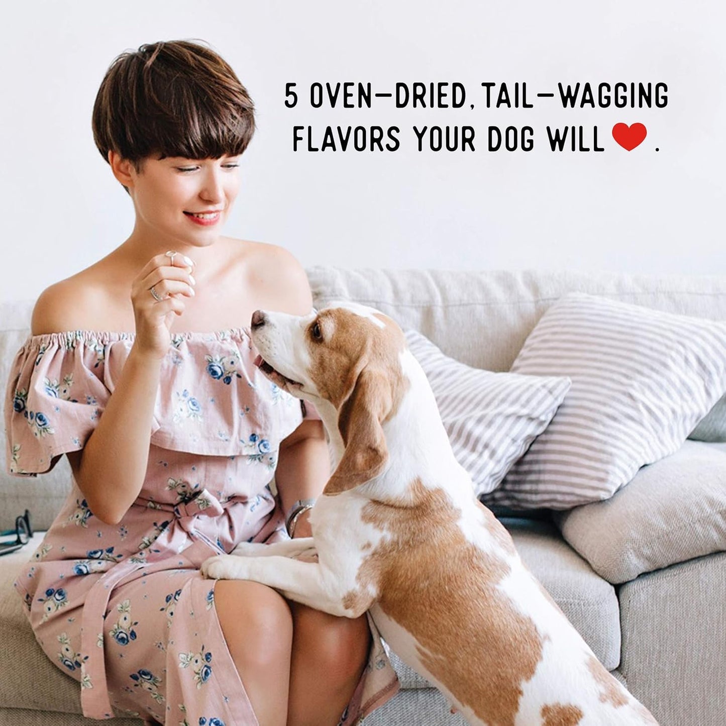 Farmland Traditions Dogs Love Jerky Dog Treats, Premium Dog Jerky Variety Pack with Chicken, Beef & Turkey, 3 Pound Bag