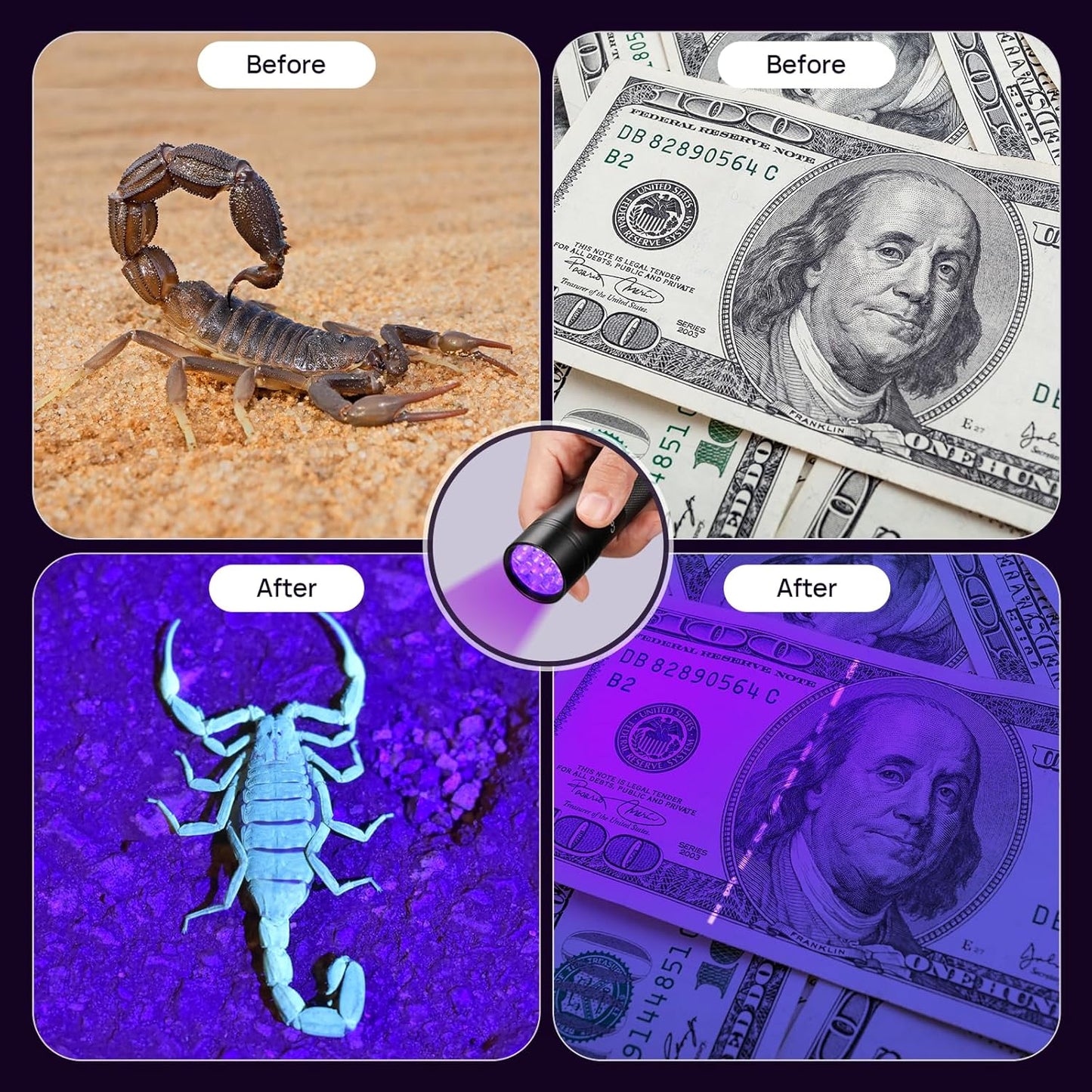 UV Flashlight Black Light, Consciot 12 LED 395nm Ultraviolet Blacklight, Portable Mini Torch Light Pet Urine Detector for Dog/Cat Urine, Dry Stains, Bed Bug, Matching with Pet Odor Eliminator