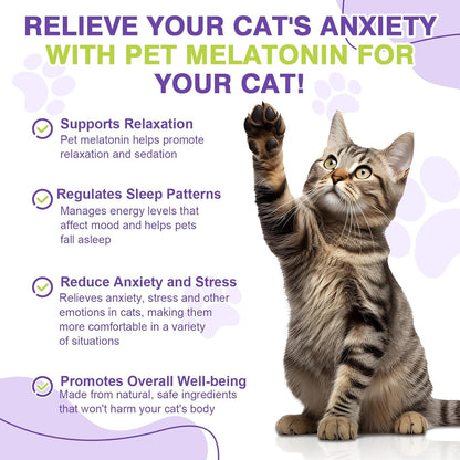 Cat Melatonin, Melatonin for Cats, Cat Tranquilizer to Anxiety Relief for Feline and Stressful Emotions in Kitten, Cats Sleep Aid to Promote Relaxation and Entry into Sleep in Kitten