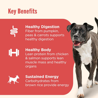 Nutrish Gentle Digestion Premium Paté Wet Dog Food, Real Chicken, Pumpkin & Salmon Recipe, 13 oz. Can, 12 Count (Rachael Ray)