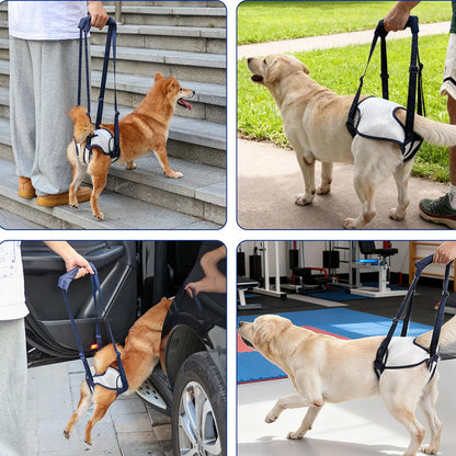 Easy Pet Life Dog Sling for Back Legs, Adjustable Pet Mobility Aid，Pet Rear Leg Support Brace,Hip Support Harness to Help Lift Dogs Rear for Helps Senior and After ACL Surgery (Blue, XL)