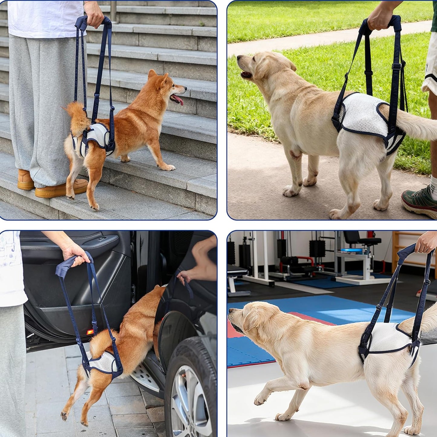Easy Pet Life Dog Sling for Back Legs, Adjustable Pet Mobility Aid，Pet Rear Leg Support Brace,Hip Support Harness to Help Lift Dogs Rear for Helps Senior and After ACL Surgery (Blue, XL)
