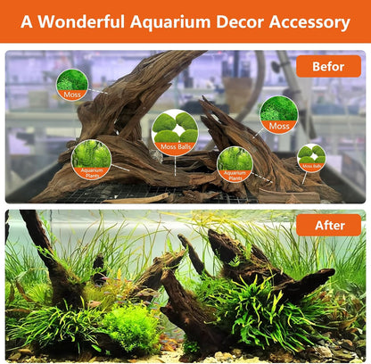 Driftwood for Aquarium Drift Wood for Fishtank: Aquarium Driftwood Freshwater Reptile Wood Reptile Log Snake Climbing Accessories Terrarium Decor for Leopard Gecko Small Snake Fish Tank