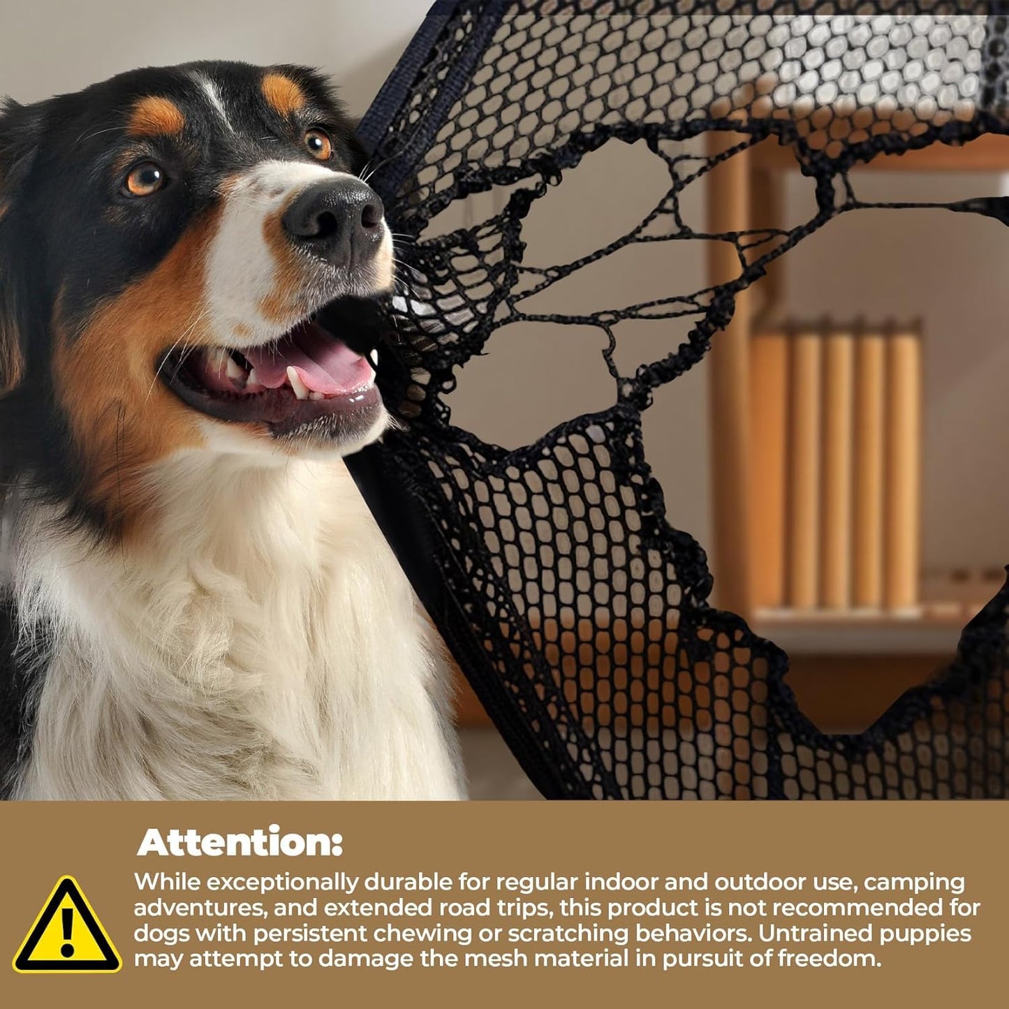 Dog Crate, Collapsible Soft Travel Crate for Large Dogs (3 Year Warranty), Indoor & Outdoor Portable Pet Kennel with Chew-Proof Mesh Window (Dark Gray, 30" L x 21" W x 21" H)