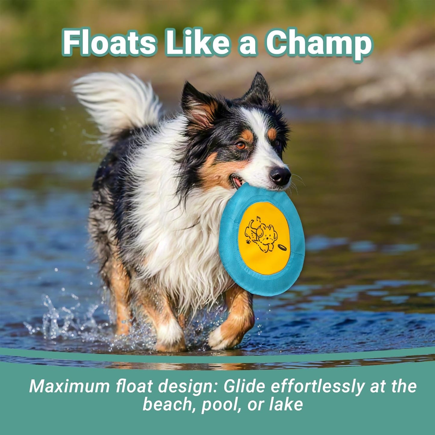 3 Packs Nylon Interactive Dog Flying Disc - Floating Dog Toys for Aggressive chewers - Water Toys for Dogs