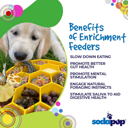 SodaPup Honeycomb Enrichment Bowl – Durable Slow Feeder Bowl Made in USA from Non-Toxic, Pet-Safe, Food Safe Material for Mental Stimulation, Slowing Down Eating, Healthy Digestion, & More