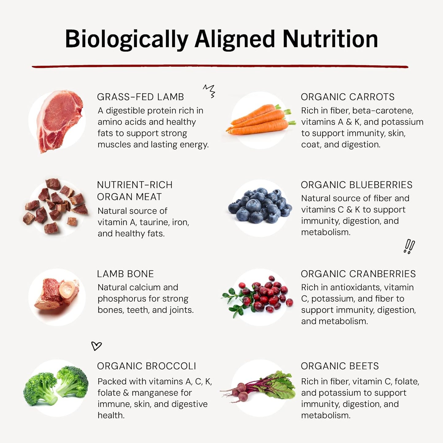 Stella & Chewy's Freeze-Dried Raw Dinner Patties - Dandy Lamb Recipe - High Protein Grain-Free Puppy & Dog Food - Perfect For Picky Eaters - 5.5 oz