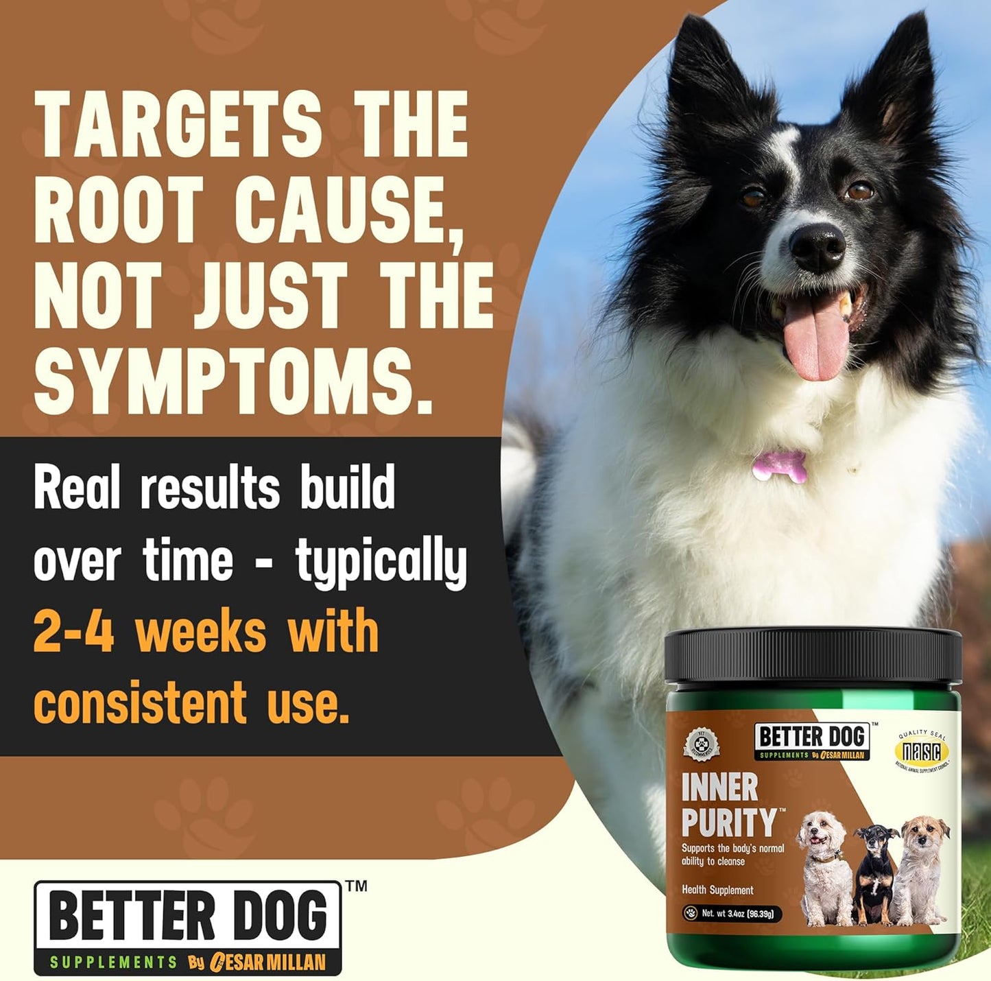 Better Dog Supplements Inner Purity by Cesar Millan – Natural Digestive, Dewormer & Gut Health Powder for Dogs – Internal Cleanliness, Detox & Bowel Movement Support – 3.4oz, (60-Day Supply)