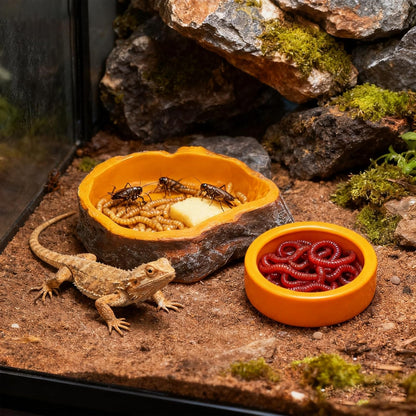 2-Pack Reptile Water Dish, Food Bowl Set - Natural Rock Design Snake Water Bowl, Leakproof Resin Feeder for Bearded Dragons, Turtles, Geckos, Snakes | Terrarium Decor Essentials