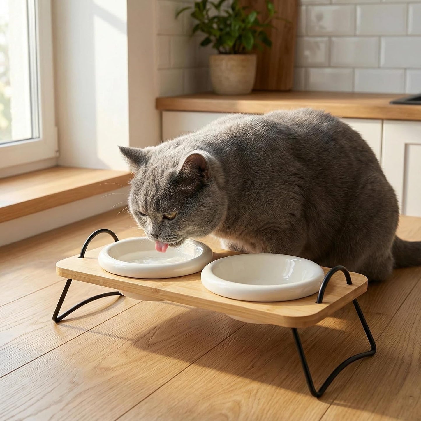 Raised Cat Ceramic Bowls with Wood Stand Kitty Elevated Bowls for Food and Water with Tilted Design Anti-Vomiting, Pet Bowl Set with Stainless Steel Base for Cats and Puppy by TDTOK