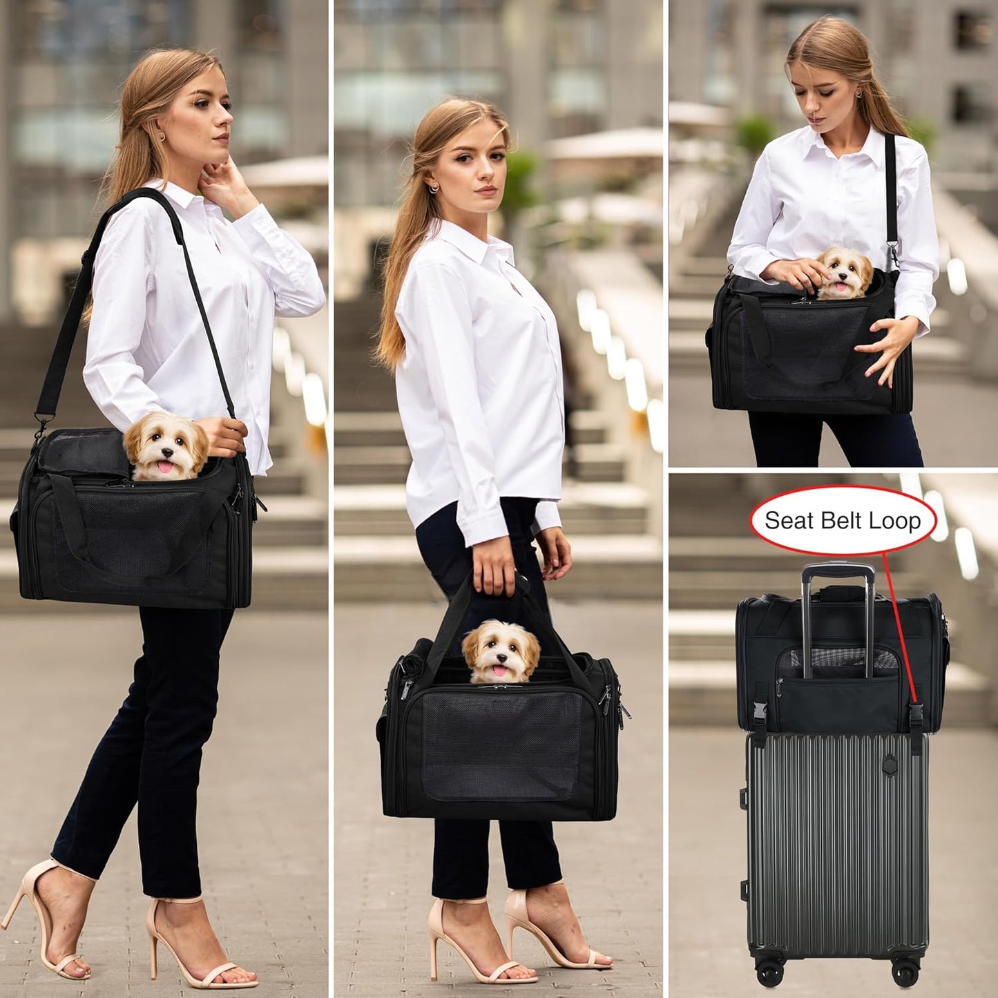 EliteField Deluxe Soft-Sided Pet Carrier (3 Year Warranty, Airline Approved), Travel Bag for Dogs, Cats & Small Pets, with Expandable Mat