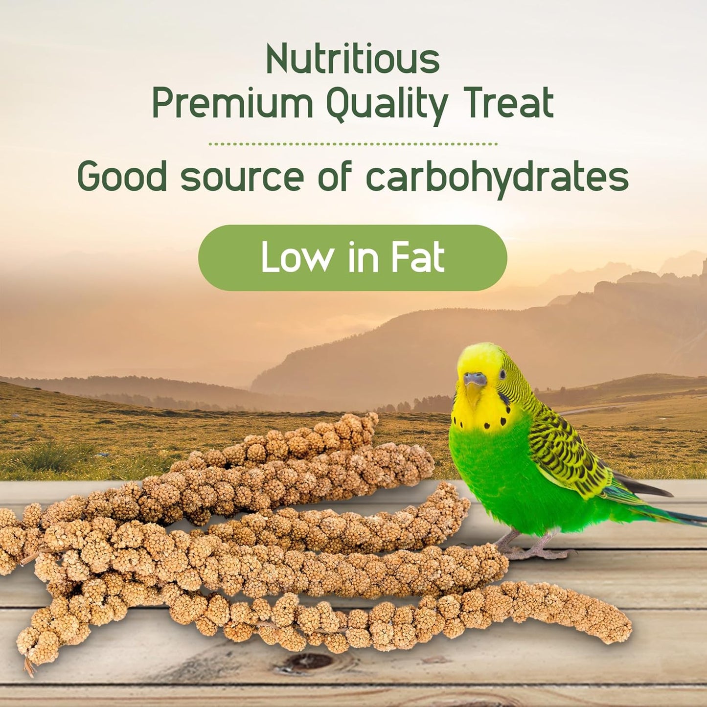 Living World – Millet Spray for Birds, 17.6 Oz – Premium Treat for Budgies, Canaries, Finches, Cockatiels and Other Pet Birds