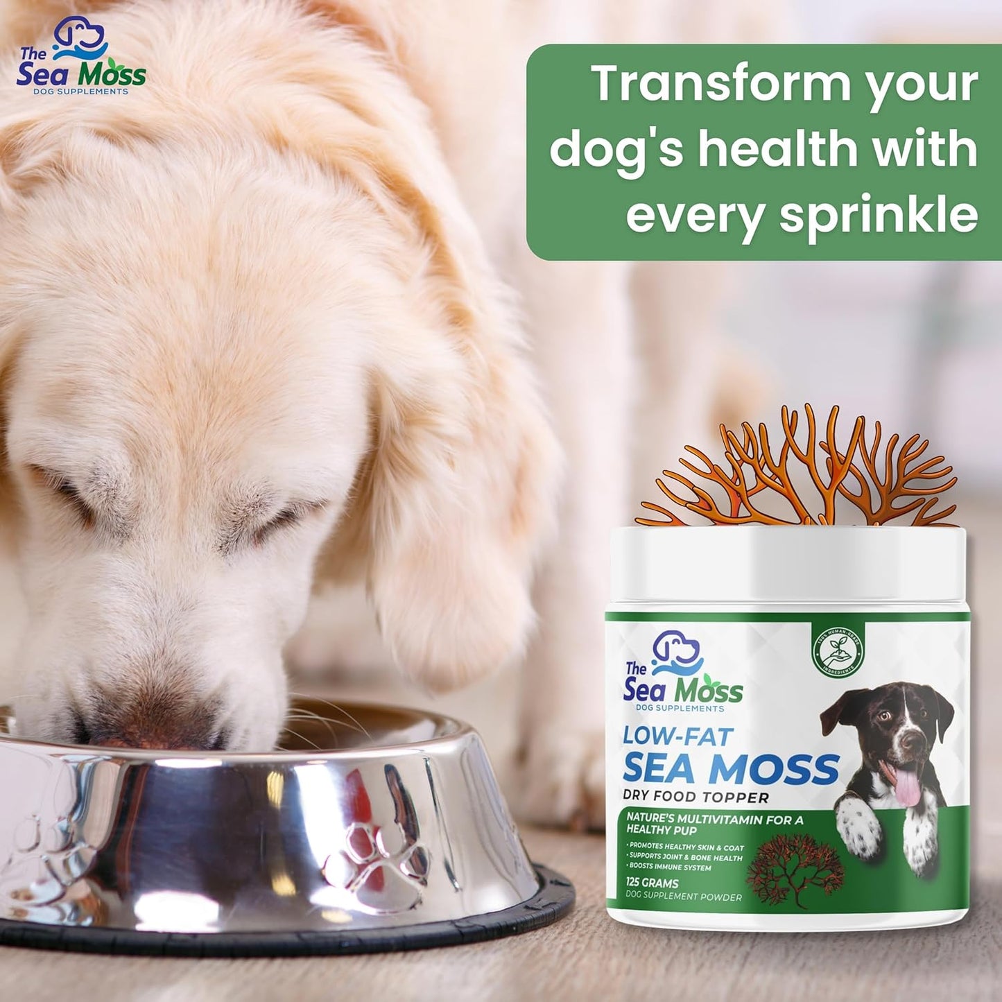 The Sea Moss Low-Fat Dog Supplement Powder, Dry Food Topper - Multivitamin Supports Skin, Coat, Joints, Digestion & Immune Health - Vitamins & Minerals – All Breeds & Sizes - 125 Grams