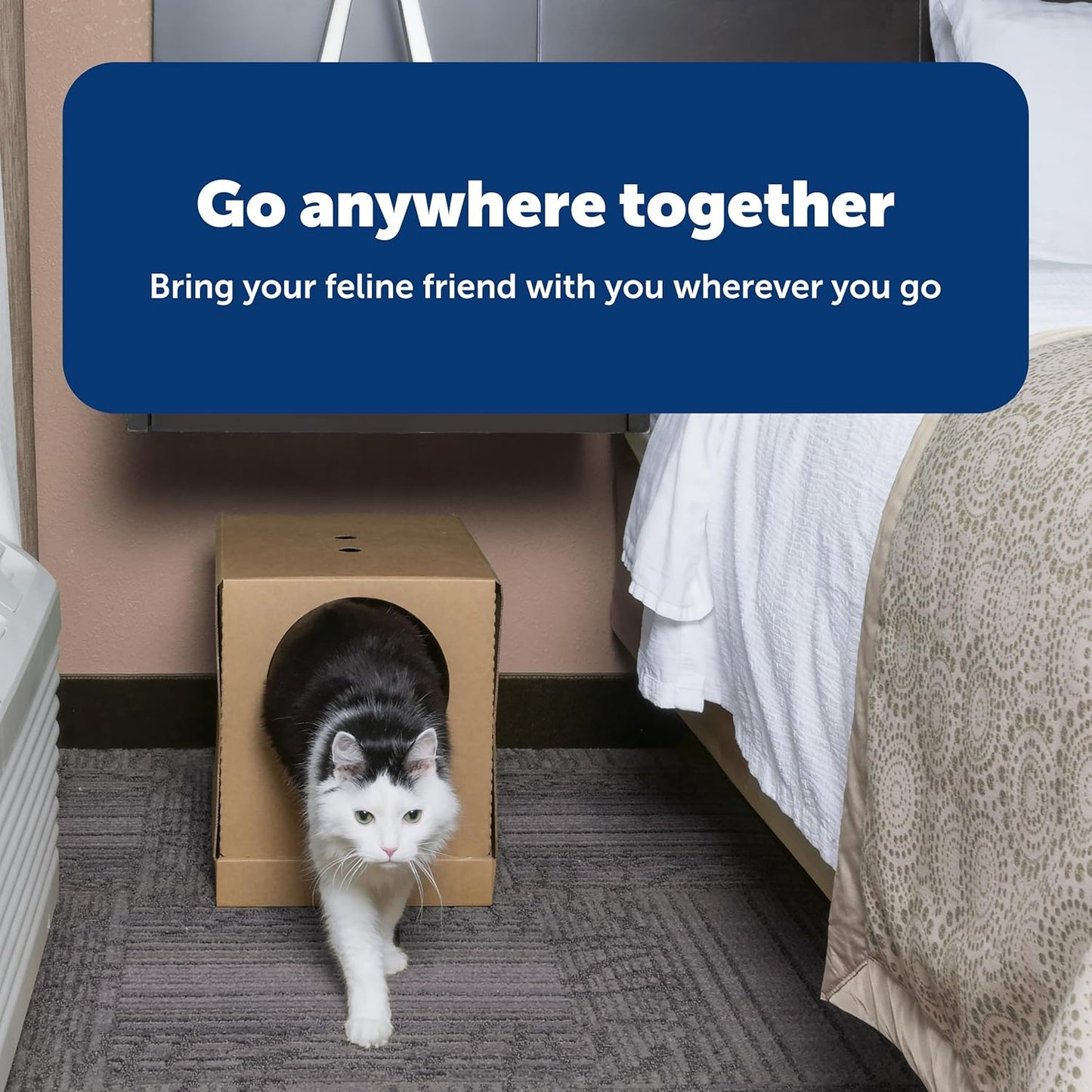 PetSafe Disposable Litter Box with Litter - Collapsible No-Mess Box with Reliable Leak-Proof Protection & Superior Odor Control - Includes 4.3 lb Bag Crystal Pebbles & 8 Disposable Scoops