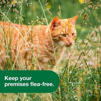 Bundle of Advantage II Vet-Recommended Flea Treatment & Prevention | Cats Over 9 lbs. + Advantage Yard & Premise Spray 32 oz.