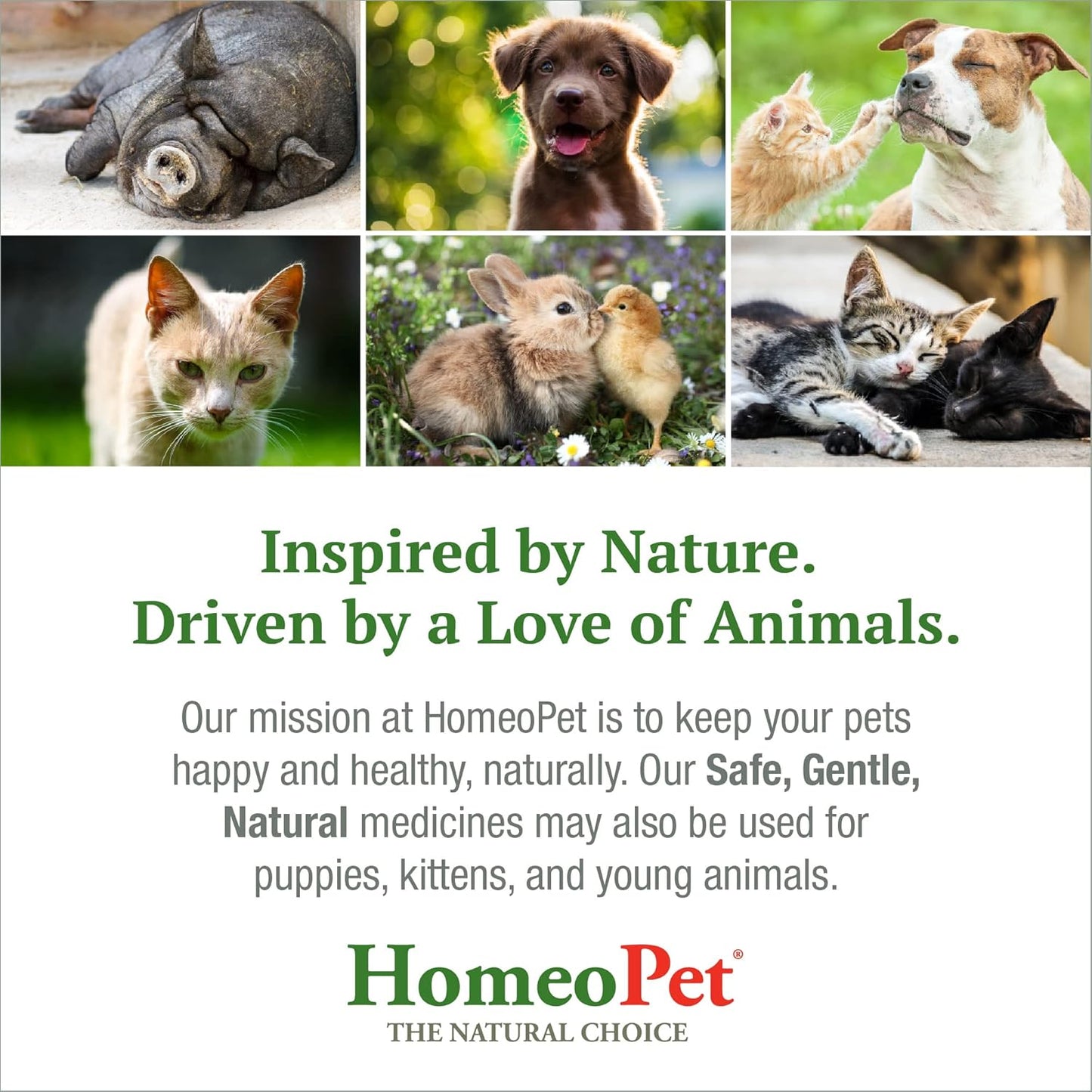 HomeoPet Nose Relief, Safe and Natural Sinus Supplement for Cats, Dogs, and Other Small Animals, 15 Milliliters