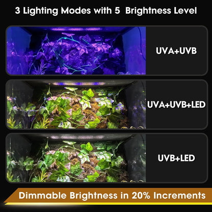 Thermometer Hygrometer with Dehumidifier Ventilation Fan