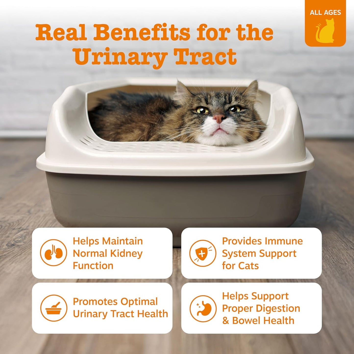 Zesty Paws Urinary Tract Cat Mousse - Kidney Support for Cats with Cranberry & D-Mannose - Healthy Cat Treats - Supports Bladder, Urinary Tract, Immune System & Gut Health - 14 Count