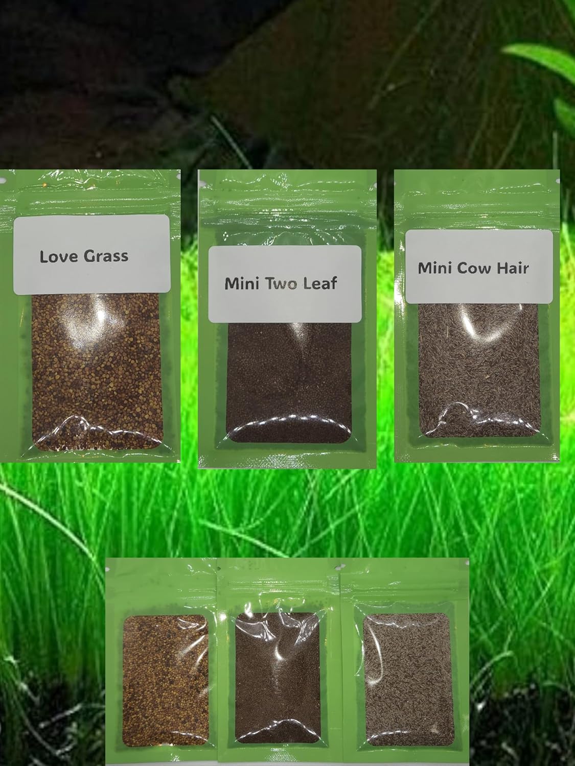 3 Aquarium Plant Se-e-d Combo, no Artificial, Fresh Water Grass for Fish Tank Terrarium Dwarf Carpet
