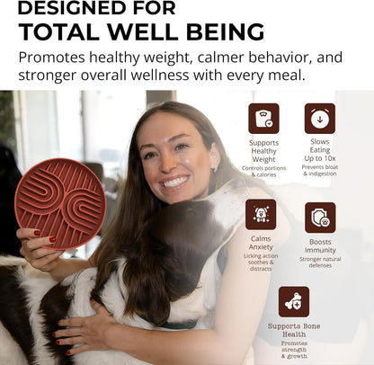 Slow Feeder Dog Bowls, Dishwasher Safe, Non-Slip Base, BPA-Free Slow Eating Dog Bowl (Mocha, 1-Pack)