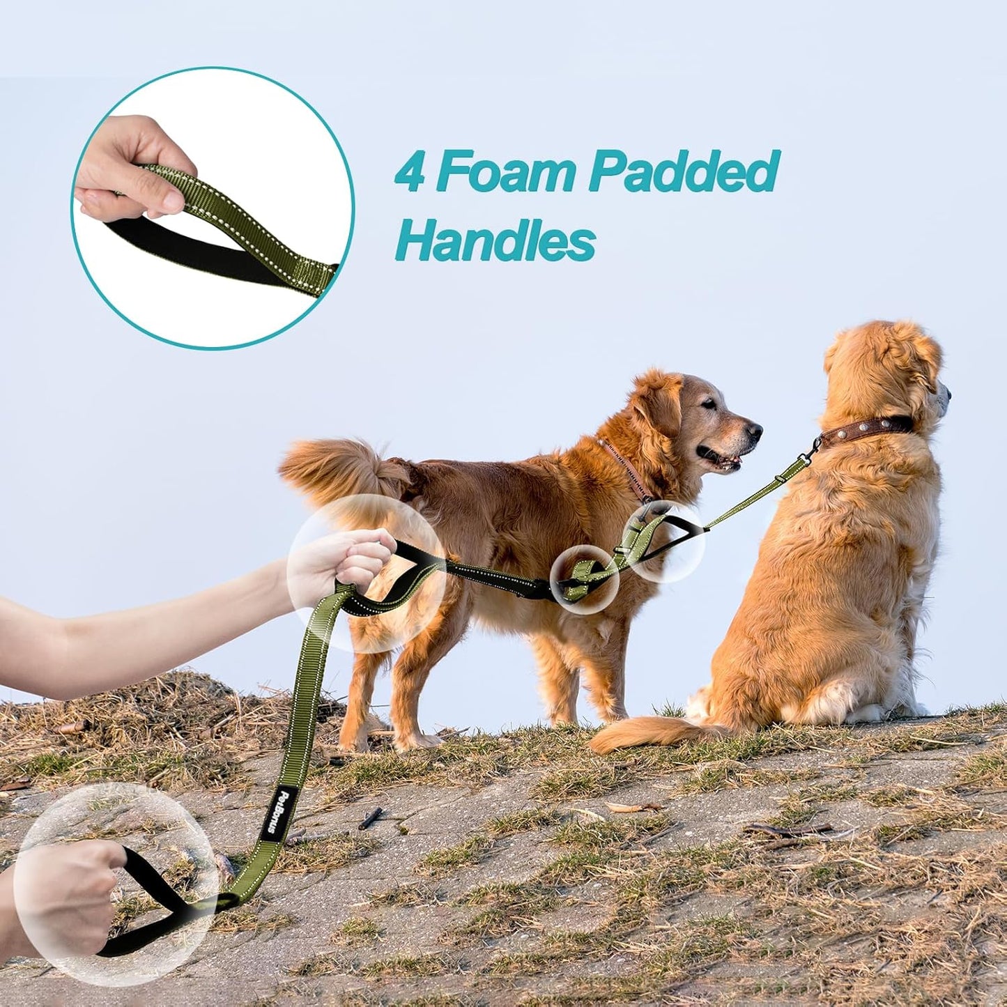 PetBonus No Tangle Double Dog Leash and Dog Seat Belt for Car