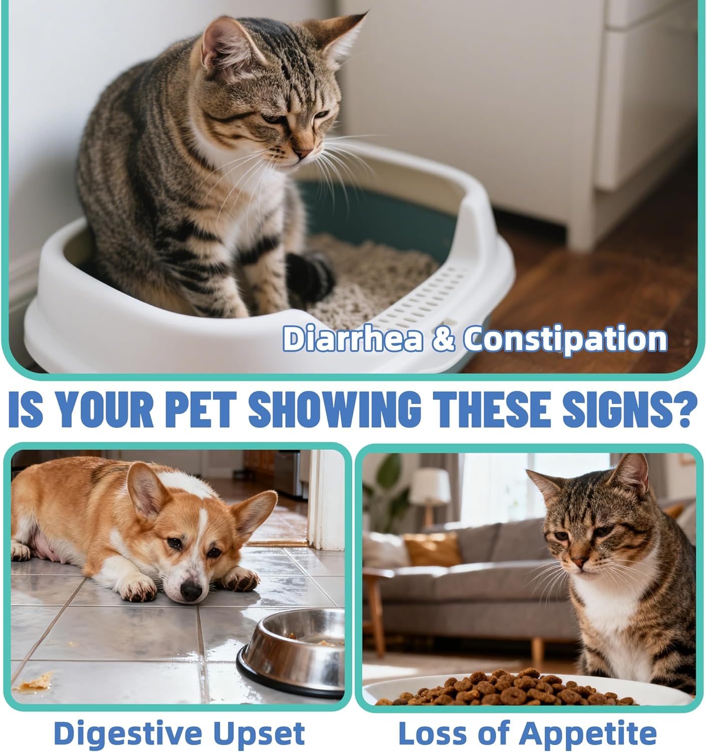 Pet Health Supplement, Hairball Relief, Immune Support, Urinary Care & Probiotics Powder for Cats & Dogs, 1.7OZ/2.7OZ/3.7OZ/4.7OZ (Probiotics)