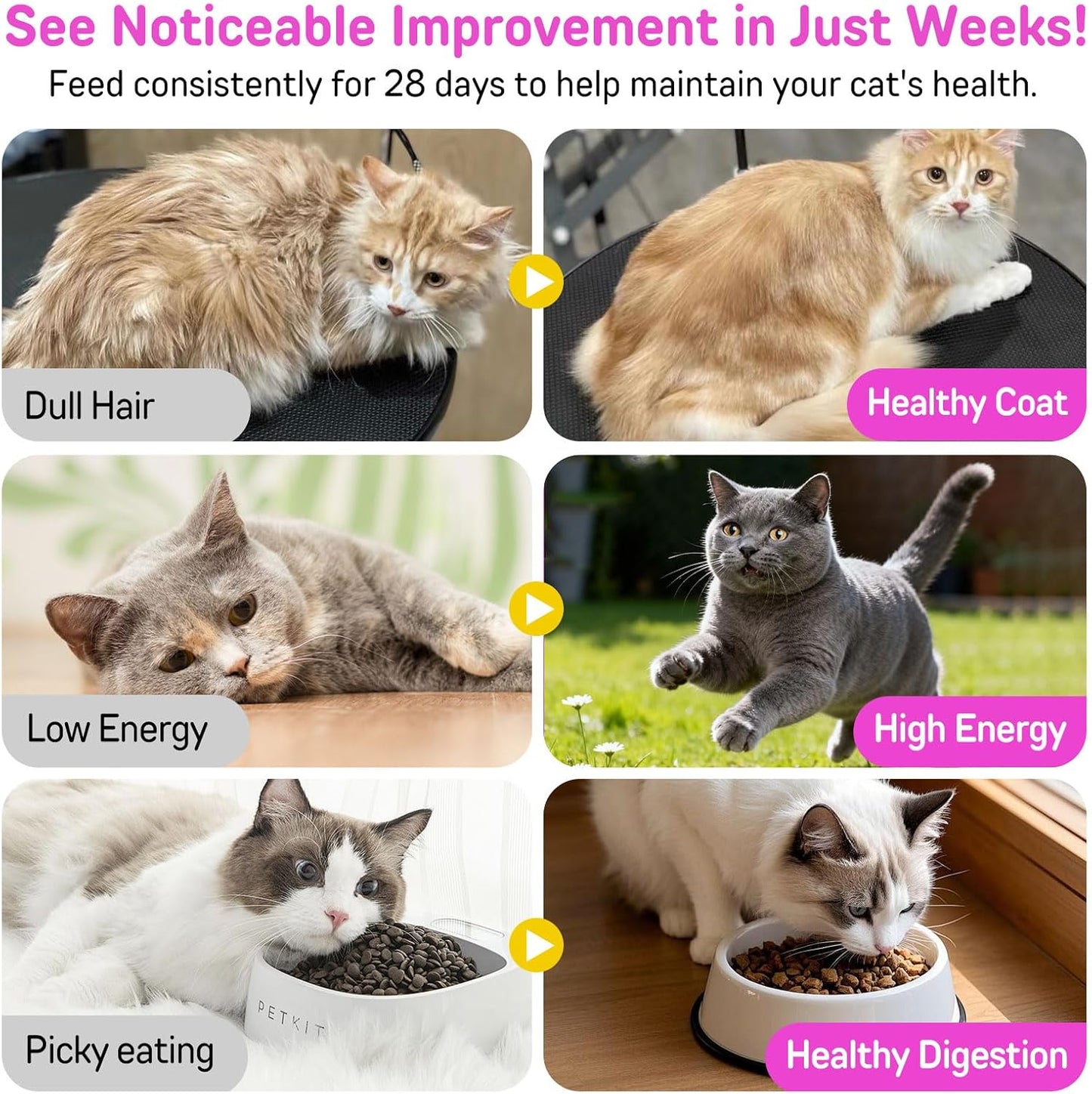 Cat Vitamins Chews, 15 in 1 Cat Multivitamin Treats for Health, Immune, Joint Support, Skin & Coat, & Digestion, Vitamins with Taurine, Omega-3s & Probiotics, Chicken (30 Day Supply)