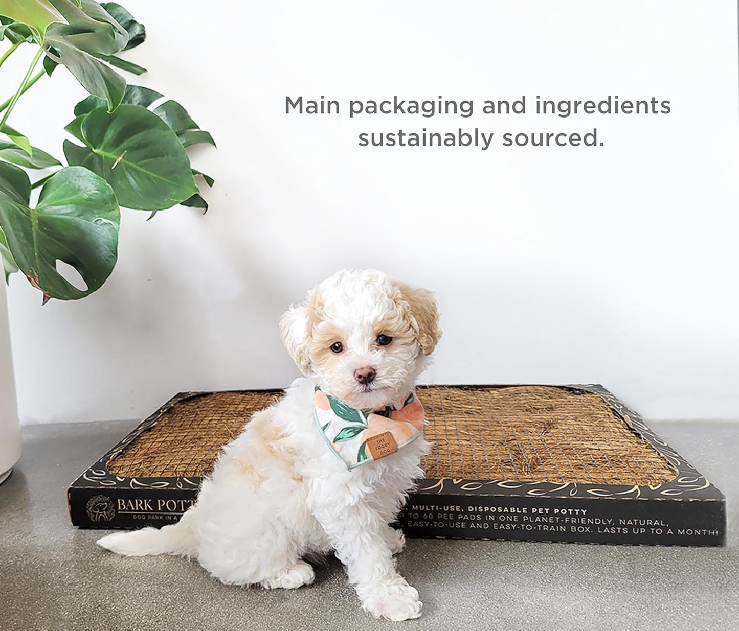 Bark Potty Standard Dog Potty Training Box - Disposable, Long-Lasting Pee Pad Litter Replacement - Leak Resistant, Multi-Use, Odor Neutralizing, Indoor/Outdoor Toilet Tray