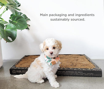 Bark Potty Standard Dog Potty Training Box - Disposable, Long-Lasting Pee Pad Litter Replacement - Leak Resistant, Multi-Use, Odor Neutralizing, Indoor/Outdoor Toilet Tray