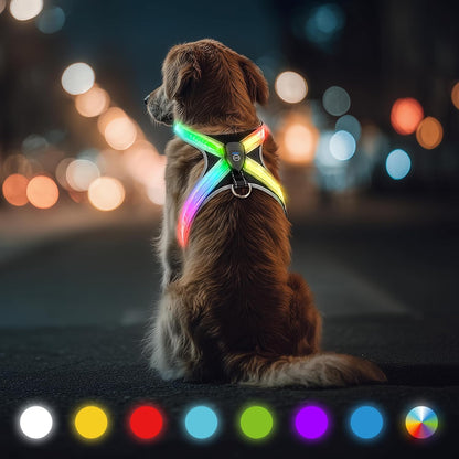 LED Light Up Dog Harness - Rechargeable & Reflective Dog Vest, 7 Lighting Modes, 3-Layer Air Mesh for Breathability & Comfort, Adjustable Illuminated Leash for Small to Large Dogs Walking at Night