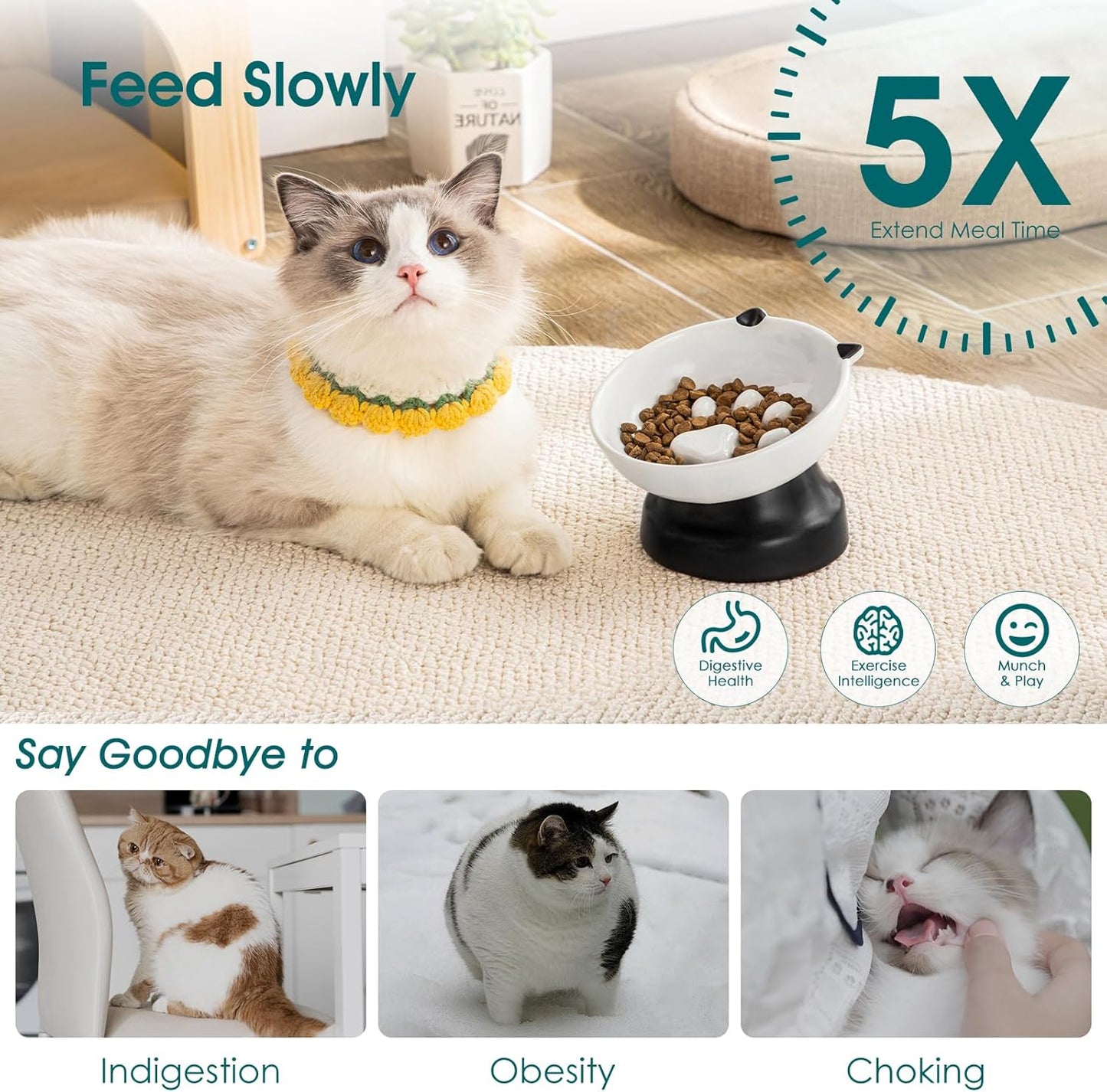 vancasso Slow Feeder Cat Bowls, Ceramic Elevated Slow Feeder Cat Bowls, Raised Food Bowl for Wet Food (Black)