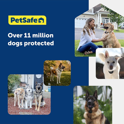 PetSafe Stay & Play 2-Dog Wireless Fence for Stubborn Dogs - America's Safest Wireless Pet Containment System - No Dig Electric Fence - Circular Boundary - Secure 3/4-Acre Yard - for Dogs 5lb+