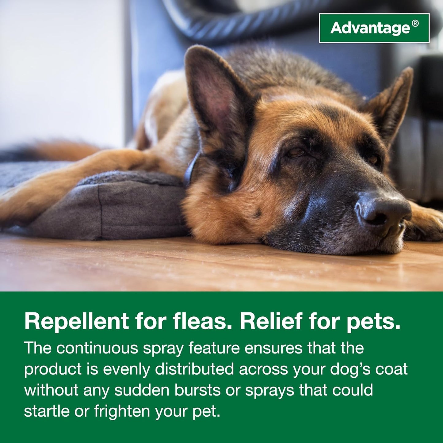 Advantage Dog Flea Treatment Spray | Kills Fleas & Ticks | Dog Flea Spray | 15 oz.