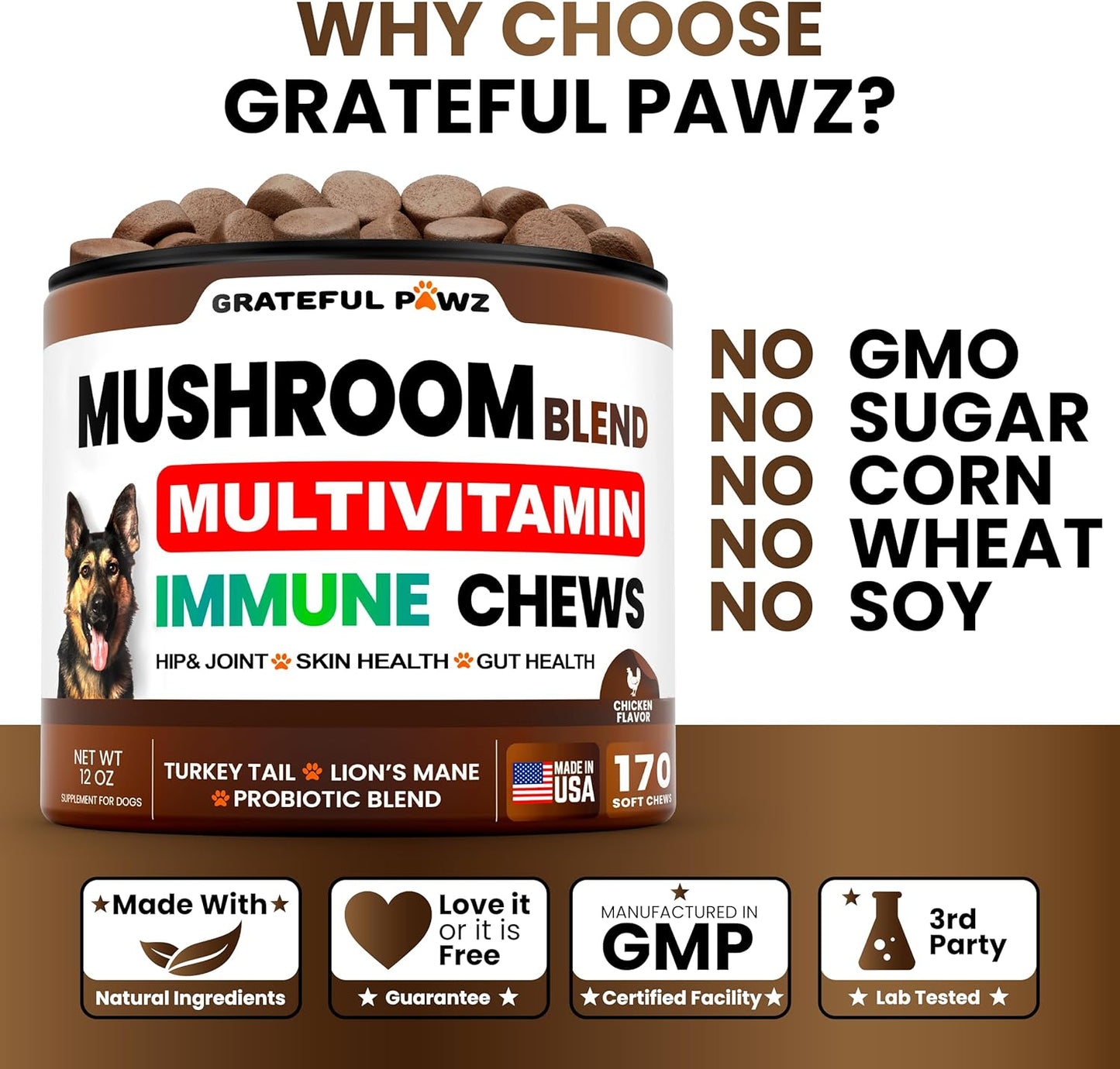 Turkey Tail Mushroom Supplement for Dogs - 170 Chews - Mushrooms for Dogs - Reishi, Lion’s Mane, Glucosamine Multivitamin - Immune Booster, Gut, Hip & Joint Health Support Vitamins, Energy & Skin