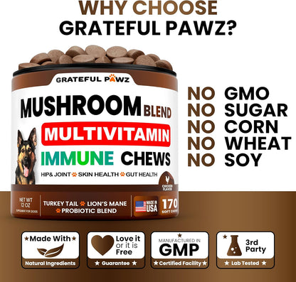 Turkey Tail Mushroom Supplement for Dogs - 170 Chews - Mushrooms for Dogs - Reishi, Lion’s Mane, Glucosamine Multivitamin - Immune Booster, Gut, Hip & Joint Health Support Vitamins, Energy & Skin