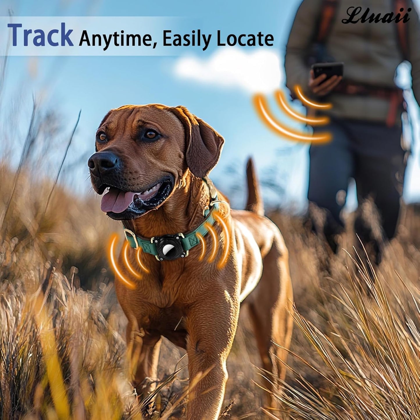 Airtag Dog Collar - Leather Dog Collar with Airtag Holder, IP 68 Waterproof Air Tag Dog Collar, Quick Release Dog Collar Metal Buckle for Large Medium Small Dogs (Green, S, 12.75"–14.75")