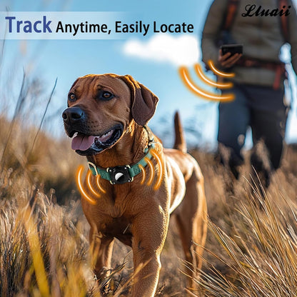 Airtag Dog Collar - Leather Dog Collar with Airtag Holder, IP 68 Waterproof Air Tag Dog Collar, Quick Release Dog Collar Metal Buckle for Large Medium Small Dogs (Green, S, 12.75"–14.75")