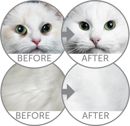 Nature's Protection Dry Cat Food & Dental Treats Bundle: Grain Free Dry Kibble 3.3 lb + Chews for Cat Teeth Cleaning 2.64 oz, No Tear Stains or Hairball (Superior Care - Herring, Poultry)